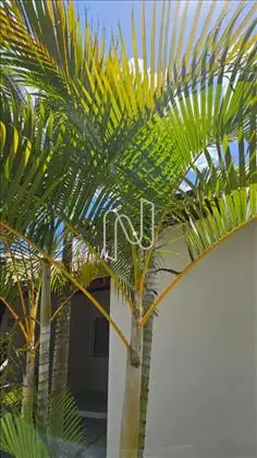 Casa em condominio bairro Conceição