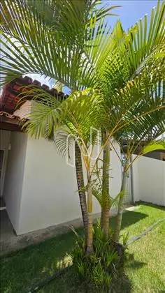 Casa 2 quartos em condominio bairro Conceição