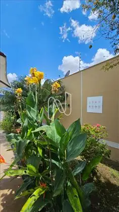 Casa 2 quartos em condominio bairro Conceição