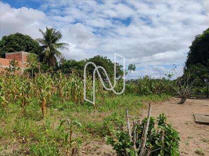  Área de terra com 4.700m2 na Artemia Pires
