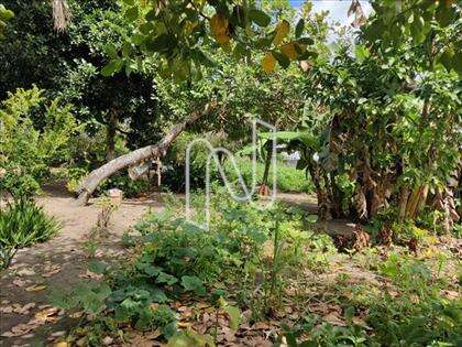  Área de terra com 4.700m2 na Artemia Pires 