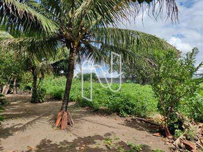 Área de terra com 4.700m2 na Artemia Pires 