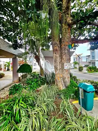  Casa/lateral.