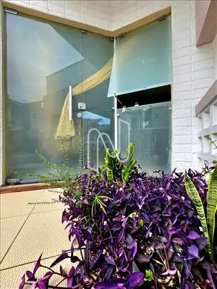   Casa/ área externa.