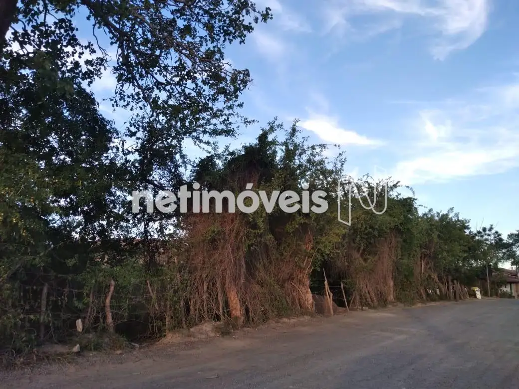 Terreno pra venda em Feira de Santana