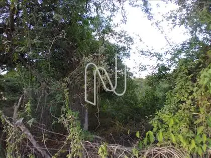 Terreno pra venda em Feira de Santana