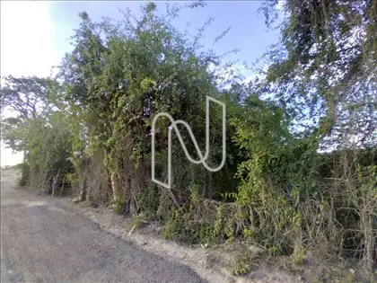 Terreno pra venda em Feira de Santana 