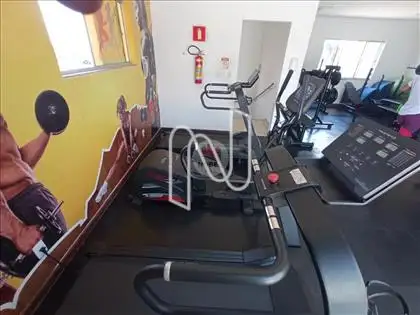   Academia