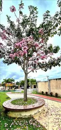 Casa 4Q pra venda ou aluguel Feira de Santana