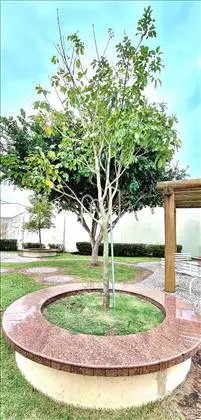 Casa 4Q pra venda ou aluguel Feira de Santana