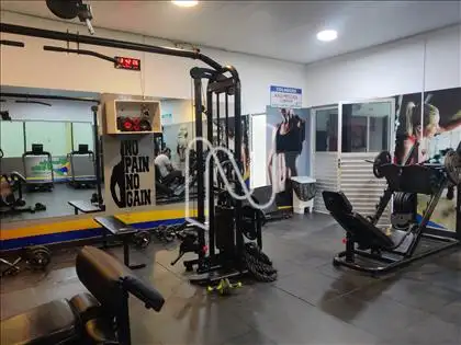  Academia