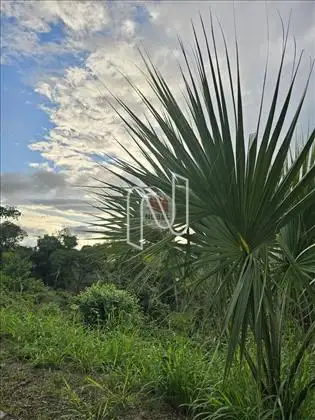  Horto Residencial - lotes a partir de 450m2 