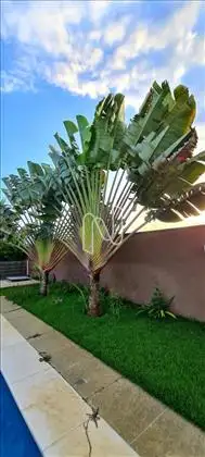  Casa mobiliada em condominio de campo
