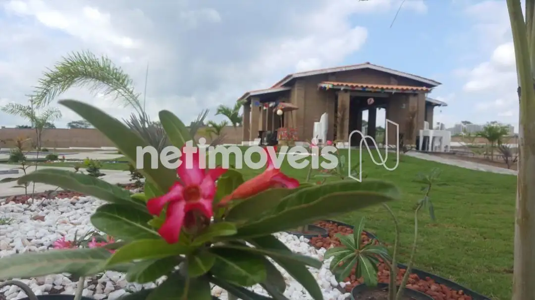  Lote em condominio de campo Feira de Santana