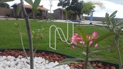 Lote em condominio de campo Feira de Santana 