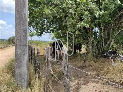  Ao Lado do Condomínio Sitio Campos Belo 