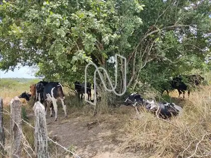  Ao Lado do Condomínio Sitio Campos Belo 