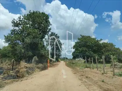  R. Baixa do Pontilhão Ou Rua da Baraúna