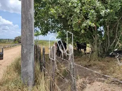  Ao Lado do Condomínio Sitio Campos Belo 