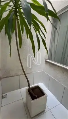 Casa para venda no bairro Mangabeira 