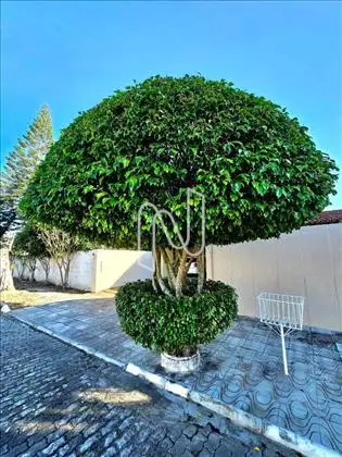  Casa Espetacular Perto do Centro da Cidade