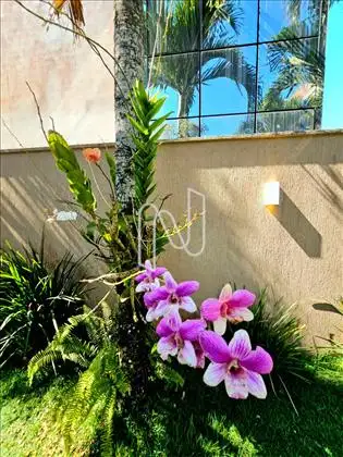   Casa de Alto Padrão no Residencial Bangalay