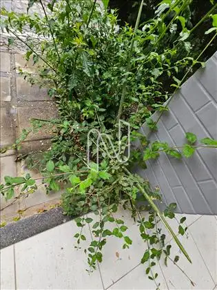  Casa pra venda em Garden Ville 