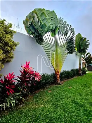  Casa pra venda em Garden Ville 