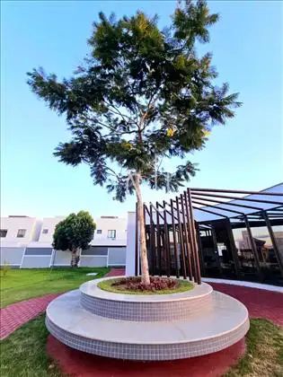  Casa Duplex Pra Alugar Em Feira de Santana 