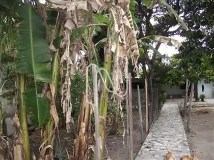  Terreno 600 m2 bairro Capuchinhos 