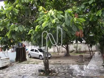  Terreno 600 m2 bairro Capuchinhos 