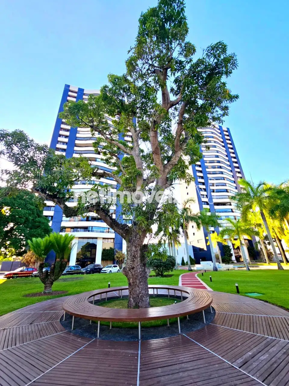 Apartamento á venda, bairro Santa Mônica 