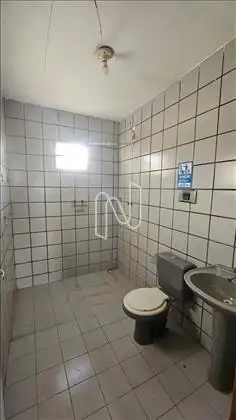 casa aluguel a 10 m da fraga maia 