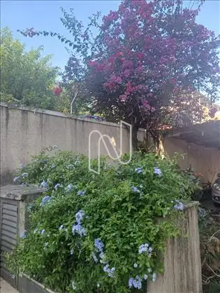 jardim 