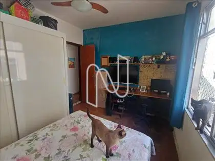 quarto 