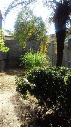 Jardim