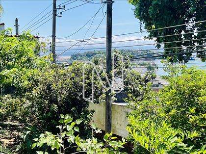 Quintal frontal. 
