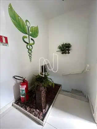Jardim de inverno