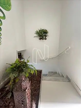 Jardim de inverno