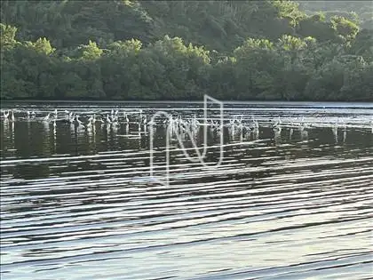 Área de preservação ambiental.