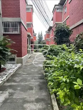 Alamedas. 