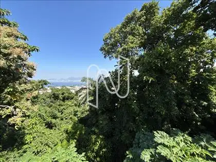 Vista de cima