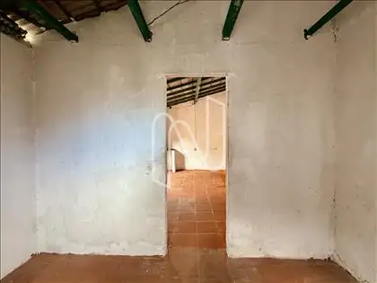 Edícula. 