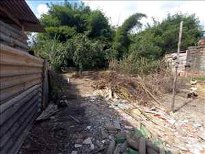 QUINTAL