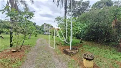 Entrada 