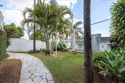 Jardim 