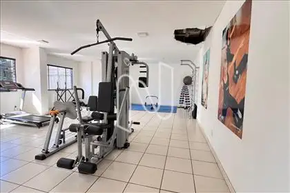  Academia  