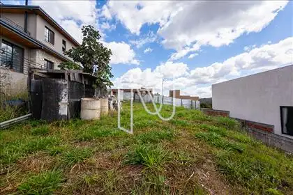   Lote