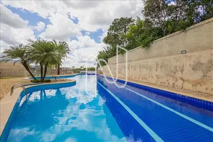  piscina 