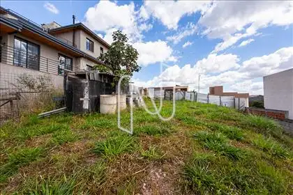  Lote 